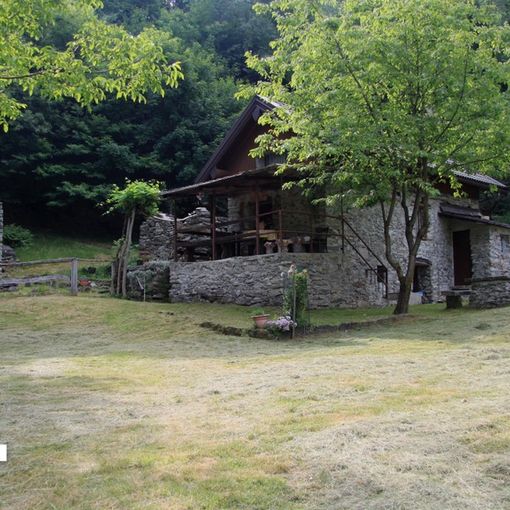Nella foto: l'alpe La Piana, sopra Viganella