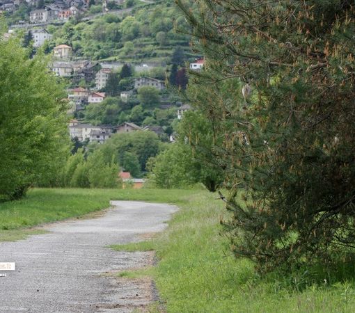 Sulla collina dello sport il Campionato regionale a staffetta