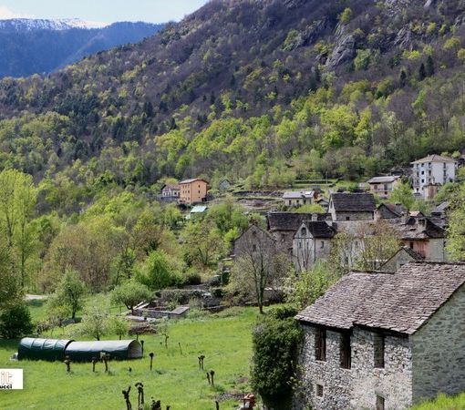 &quot;Muoversi insieme&quot;: una camminata benefica per sostenere Lilt