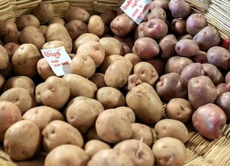 Slow Food al lavoro per creare una Comunità della patata ossolana