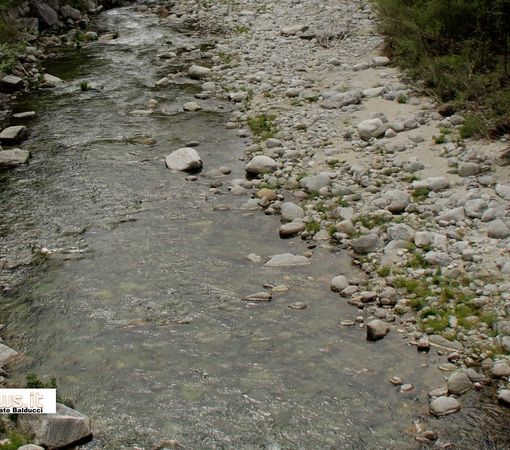 Il fiume Toce tra Pontemaglio e Oira