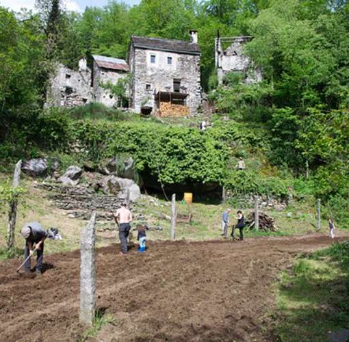 Agricoltura di montagna: al via il bando regionale per le indennità compensative