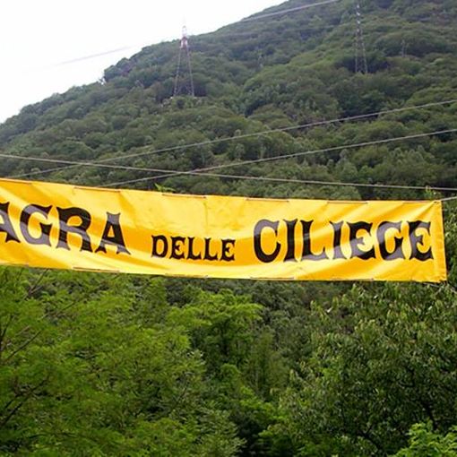 Ad Anzola è tempo di Sagra delle Ciliegie