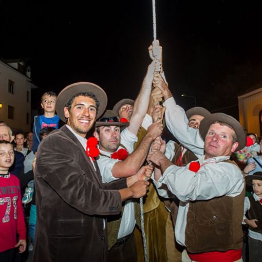 Foto archivio tirata del bue