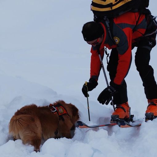 Valanga in alta Valle Formazza, potrebbero esserci degli alpinisti coinvolti