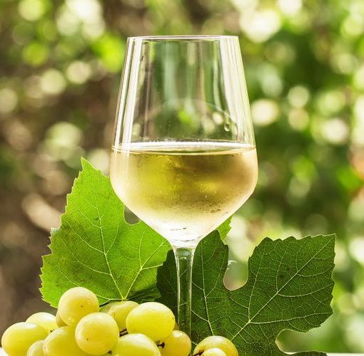 Tempo di vendemmia in Ossola: &quot;Sarà un'ottima annata&quot;
