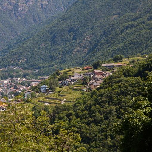 A Fomarco la castagnata del Circolo e l'openday della Banda