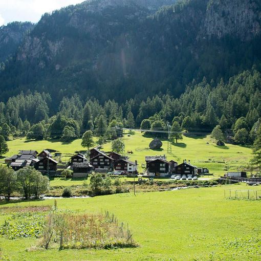 Il Cai di Cameri in Formazza per una camminata educativa