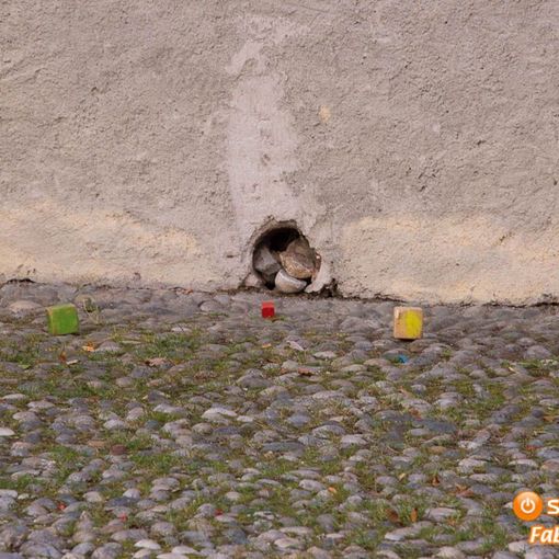 Torna il 16 e 17 ottobre a Malesco il torneo di Bocce Quadre