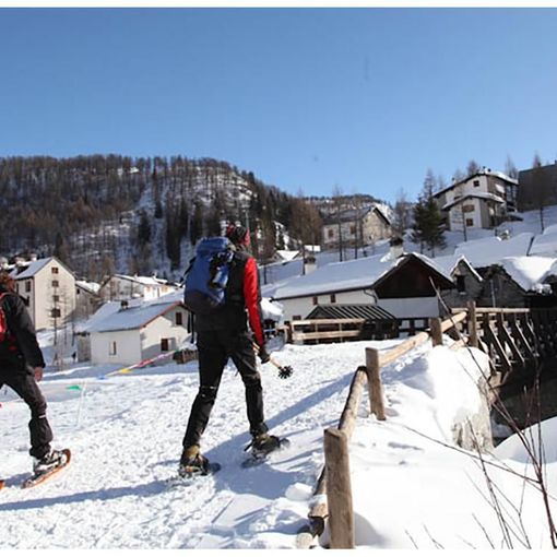 Area di tranquillità &quot;a maggiore tutela&quot; tra il Monte Cazzola e il Vallone di Misanco