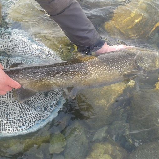 Canton Ticino, aumentano gli appassionati di pesca