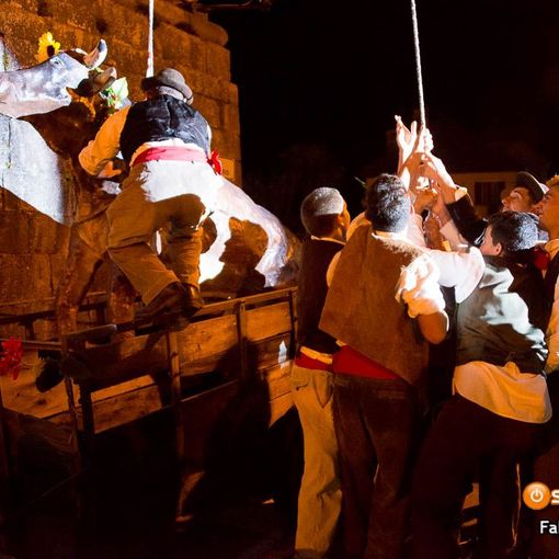 Rimandata la 'Tirata del Bue' di Masera
