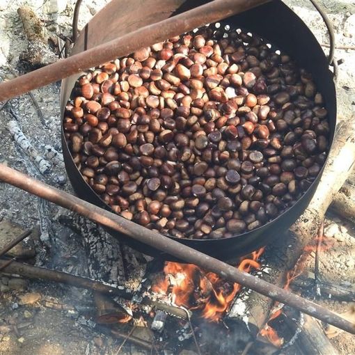 Domenica la castagnata della Pro Loco di Pallanzeno