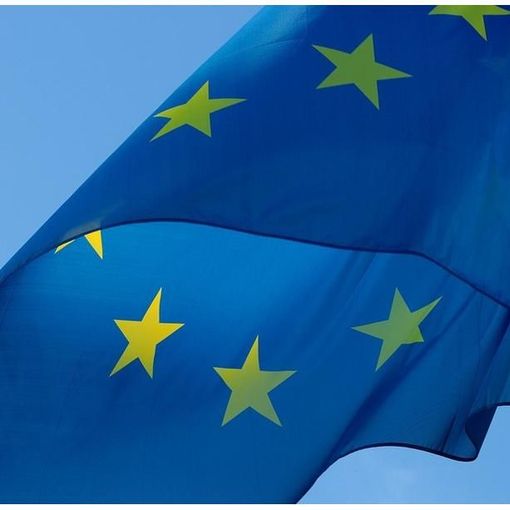 La Regione Piemonte presente a Bruxelles al convegno di Arepo