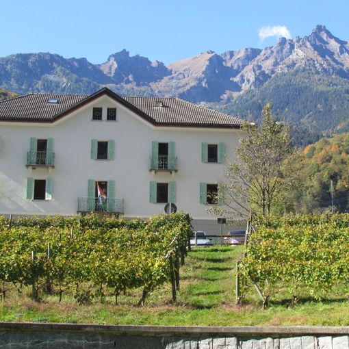 All'Istituto Fobelli di Crodo un corso per conoscere il vino