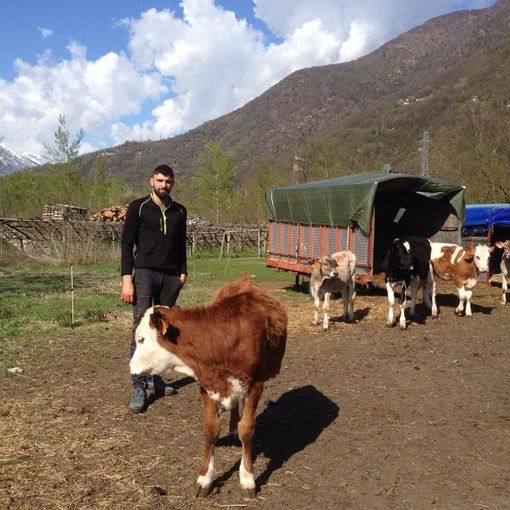 L'allevatore Jodi Maccagno, tanta passione e un'azienda agricola all'avanguardia per un formaggio di qualità