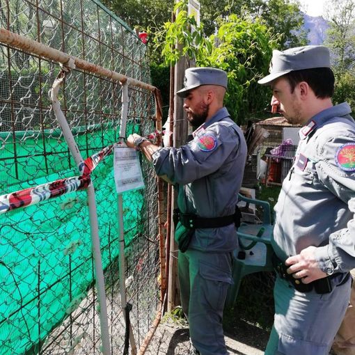 Si appropria di un terreno Demaniale realizzandoci costruzioni abusive, Carabinieri Forestali denunciano 60enne domese