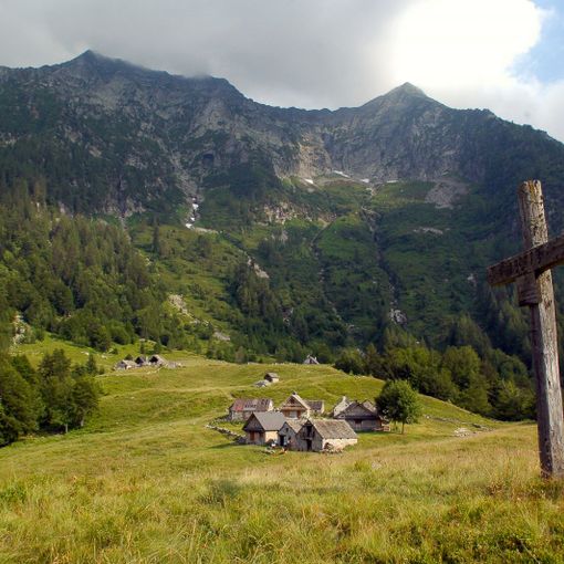Sagra del Mirtillo all'alpe Campra: gusti, giochi e melodie di montagna