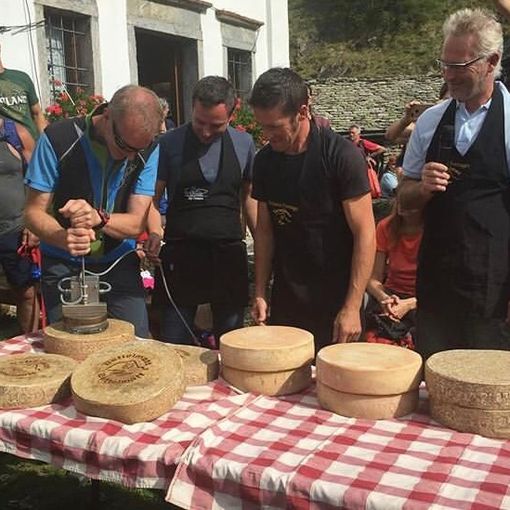 Partita la stagione della Marchiatura del Bettelmatt