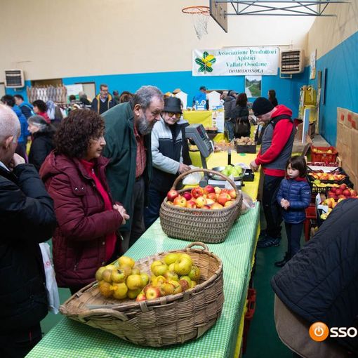 Si svolgerà in forma ridotta la sagra Mele e Miele di Baceno