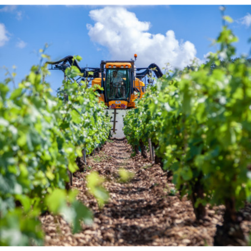 Nuove misure di sostegno per le aziende agroalimentari del Piemonte