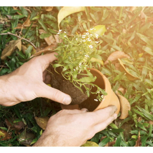 Settimana ecologica a Montecrestese con i bimbi della scuola primaria