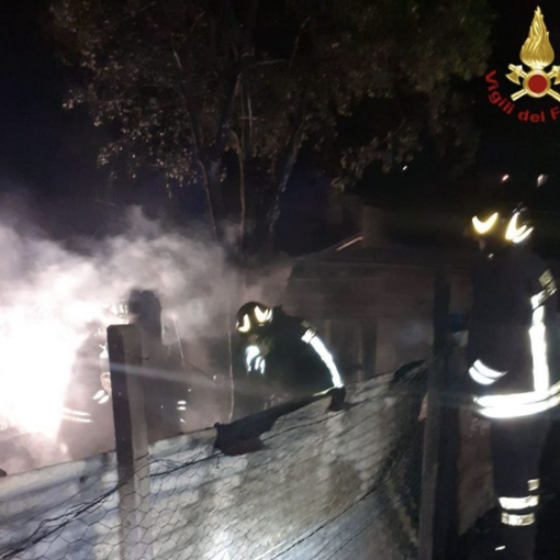 A fuoco una stalla a Montecrestese, morti una sessantina di conigli e galline