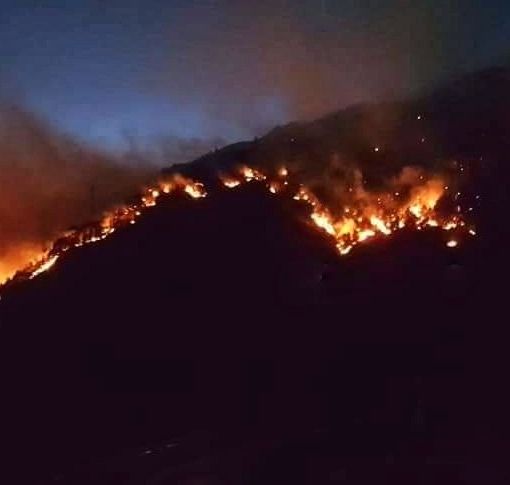 Rogo di Gambarogno: fermati due giovani per incendio colposo
