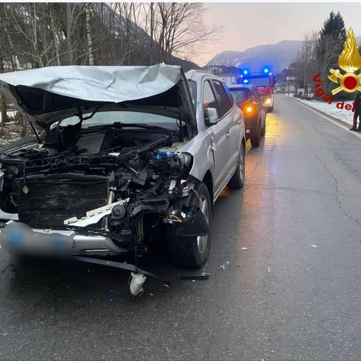 Premia, violento impatto tra un'auto e un cervo: il conducente trasportato in pronto soccorso