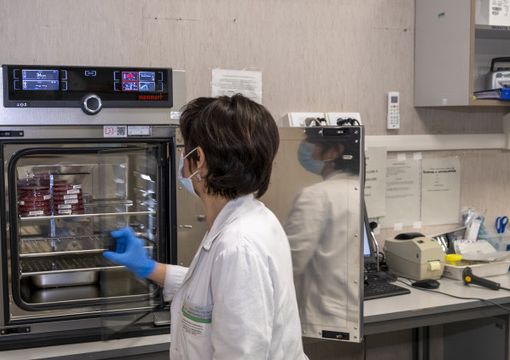 Nuove speranze per comprendere l'autismo: UniTo e Città della Salute scoprono un gene responsabile