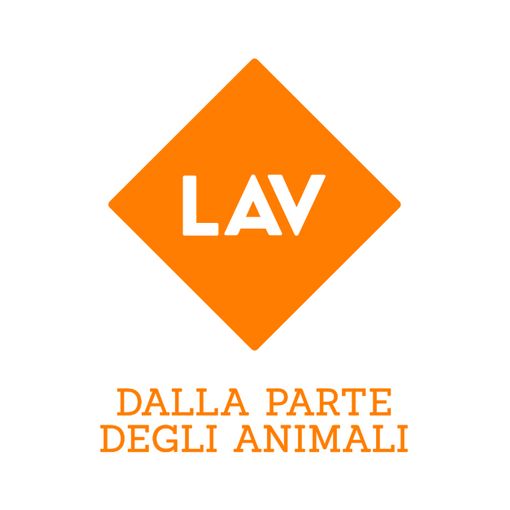 La Lav denuncia l'abbandono di una volpe ferita