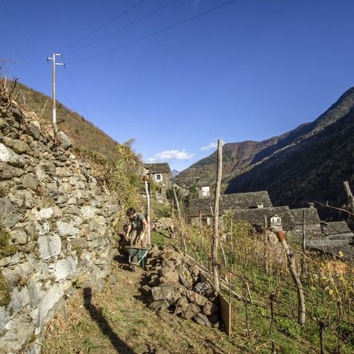 I nuovi agricoltori dei parchi ossolani