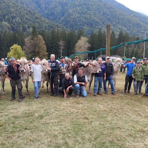 Pallanzeno in festa con la mostra di pittura e un torneo dedicato a don Luigi