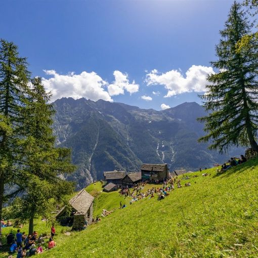 Musica in Quota raddoppia: il 19 alla diga del Vannino e il 22 all'Alpe Compolo