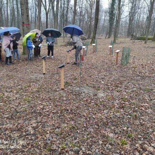 Si allarga il giardino delle donne del Bosco Tenso con tre nuove piante