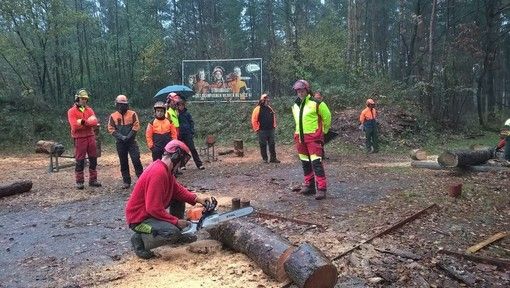 Regione, più tutela per gli operai forestali