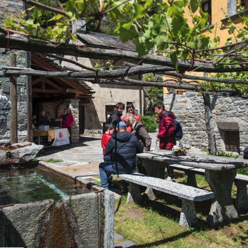Sale l'attesa per 'Ossola in Cantina': tanti i biglietti già venduti