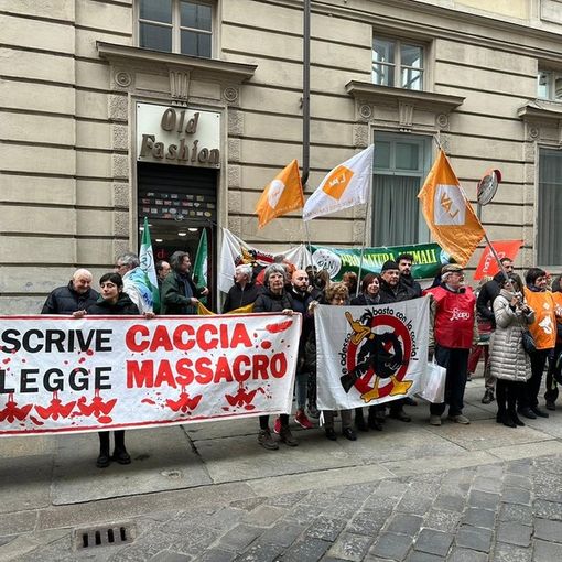 “Basta regali ai cacciatori”: ambientalisti a salvaguardia di due specie in via d’estinzione  FOTO E VIDEO