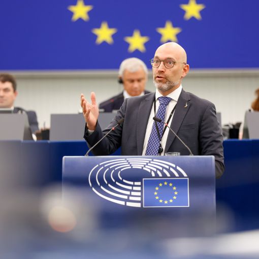 Ue apre alla modifica dello status dei lupi: da specie &quot;strettamente protetta&quot; a &quot;protetta&quot;