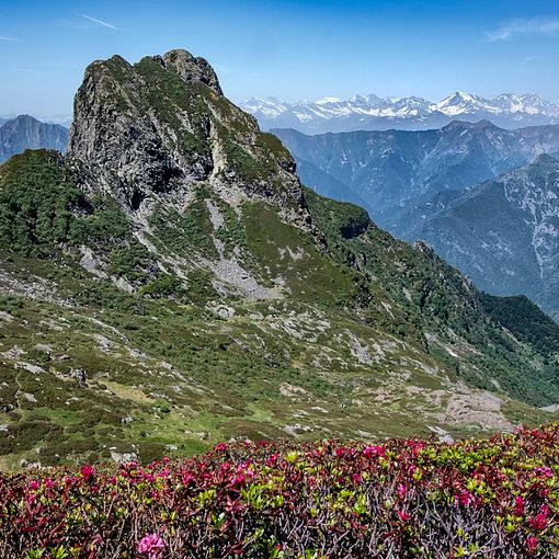 Anche un neozelandese tre le 1200 persone salite in cima al Pedum