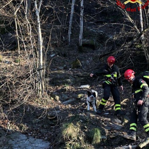 Cane in difficoltà a Baceno, salvato dai Vigili del fuoco