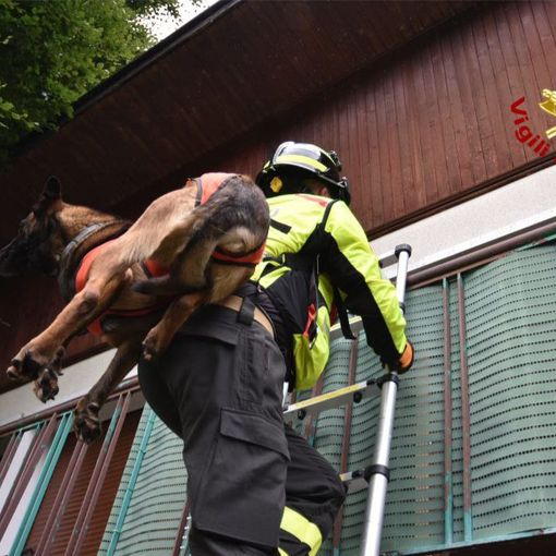 Dal Vco in Francia per un'esercitazione internazionale dei Vigili del fuoco