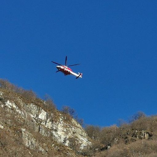 Calasca, capre in difficoltà salvate dai Vigili del fuoco
