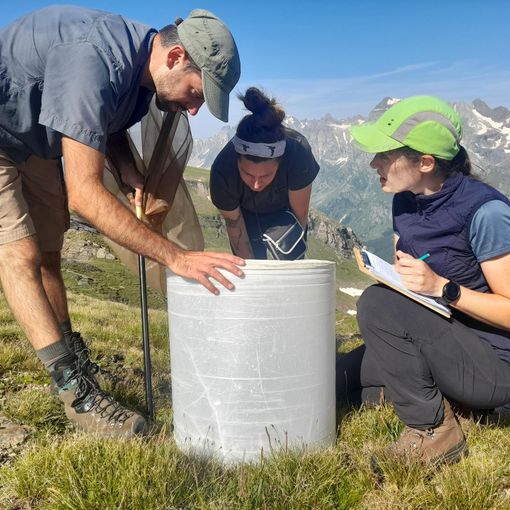 &quot;Biodiversità&quot;, il progetto di monitoraggio alpino tra parchi piemontesi
