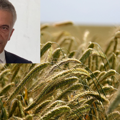 Sviluppo rurale: 20 milioni di euro per le aziende agricole piemontesi