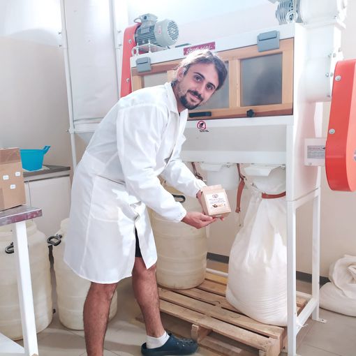 Polenta di Beura, raccolto il mais: un'eccellenza agricola nonostante la siccità FOTO e VIDEO