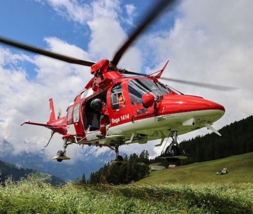 Canton Ticino, cade dall'albero durante la potatura: soccorso con l'elicottero