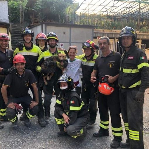 Crollo palazzina, a 30 ore dalla tragedia salvato il cane Ettore