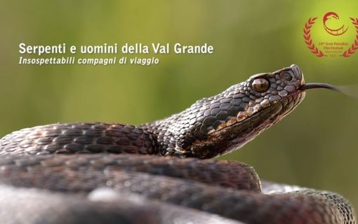 Un successo il documentario &quot;Serpenti e uomini della Val Grande&quot;