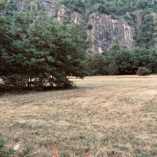 Emergenza siccità in Piemonte: via al tavolo permanente